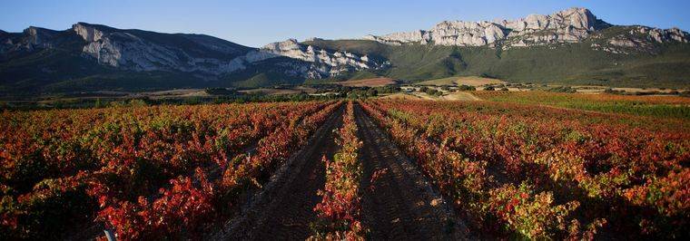 Camino Ignaciano: Una nueva fórmula para conocer la ruta del Vino de Rioja Alavesa