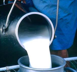 Asaja valora la reducción estructural del módulo para ganaderos de leche