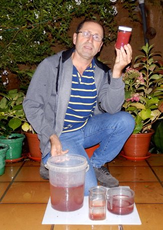 En las muestras de lluvía recogidas por Joaquín Pérez ha aparecido el microalga rojiza.