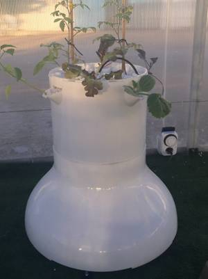 New Garden System lanza un nuevo sistema de cultivo hidropónico