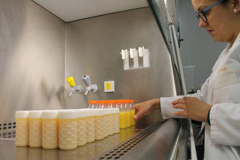 Reutilizan el 30% de los azúcares de las aguas residuales de la industria de zumos para crear el primer prototipo de bioenvase activo