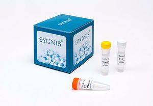 SYGNIS lanza al mercado un nuevo producto para el análisis de la expresión génica en un único paso
