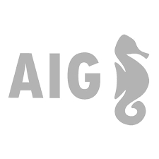 AIG, 25 años después, mantiene su modelo de negocio y fideliza a más de 100.000 empresas