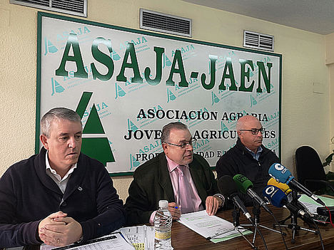Luis Carlos Valero, gerente y portavoz de ASAJA-Jaén; Francisco Molina, secretario general y Cristóbal Gallego, jefe de los Servicios Técnicos.