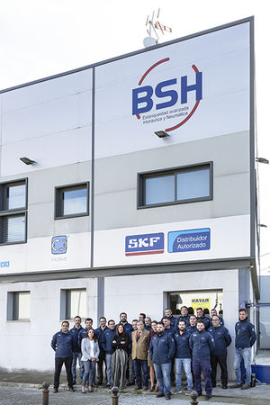 BSH da la bienvenida al 2019 en su web