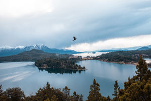 Casi un centenar de agentes de viaje de España participaron de un webinar especializado en Bariloche