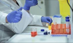 La biotecnológica Biohope abre una ampliación de capital de 350.000 euros