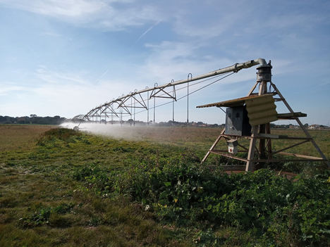 Acuerdo estratégico entre la española Grupo Chamartín y la israelí Manna para optimizar la eficiencia de los sistemas de riego agrícolas en nuestro país