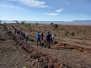 Estudiantes de Cúllar restauran la Finca La Vizcaína