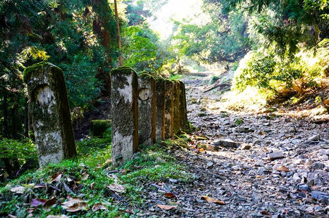 Camino al templo Enryaku-ji en el Monte Hiei.