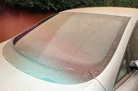 Los mejores trucos para mantener los cristales del coche limpios en verano
 