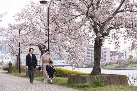 Contemplar la primavera tokiota en su máximo esplendor: el hanami