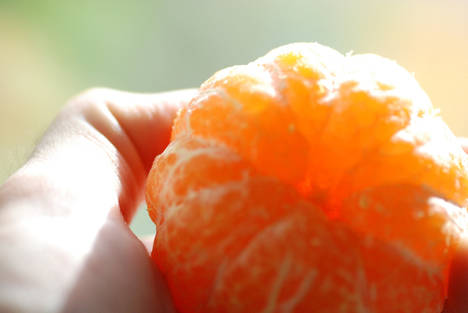 Comercializan cerca de 26.000 toneladas de mandarina Orri en la campaña 2017