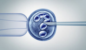 Cómo proteger los embriones en la reproducción asistida