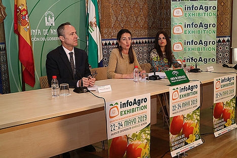 Momento de la rueda de prensa llevada a cabo en la Delegación del Gobierno de la Junta de Andalucía en Almería.