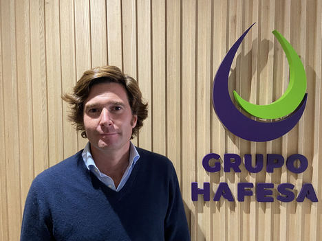 Diego Guardamino, Grupo Hafesa.
