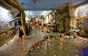 DinoSpa, aguas jurásicas con encanto infantil