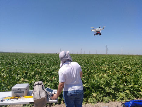 El dron, un aliado que ya es imprescindible en la investigación agronómica andaluza