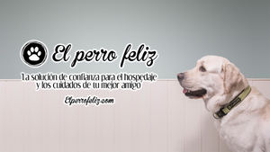 La Franquicia El Perro Feliz, una oportunidad para jóvenes emprendedores