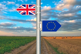 El sector agrícola advierte que el brexit podría traer consecuencias para la agricultura