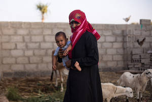 Es necesario reforzar la resiliencia de agricultores y criadores de ganado en Yemen, en especial de las mujeres
