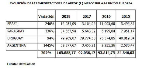 Unión de Uniones destaca que las importaciones de arroz de Mercosur a la UE aumentan un 200% en los últimos cuatro años