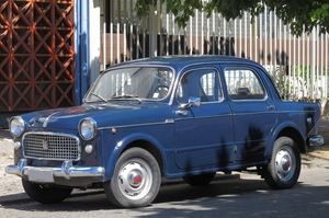 Fiat 1100, un “World Car” muy longevo