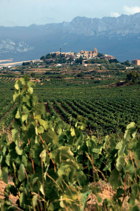 Un verano enoturístico en Rioja Alavesa con Bodegas Pagos de Leza