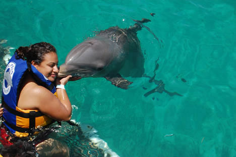 Nadar con delfines en México.