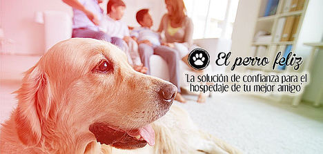 La primera empresa española de cuidadores de mascotas, El Perro Feliz, franquicia su modelo de negocio