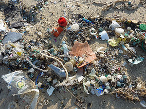 Fujitsu impulsa una iniciativa para resolver el problema de los residuos plásticos en los océanos
