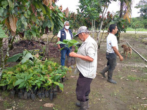 Fundación CODESPA potencia la economía agropecuaria en América del Sur