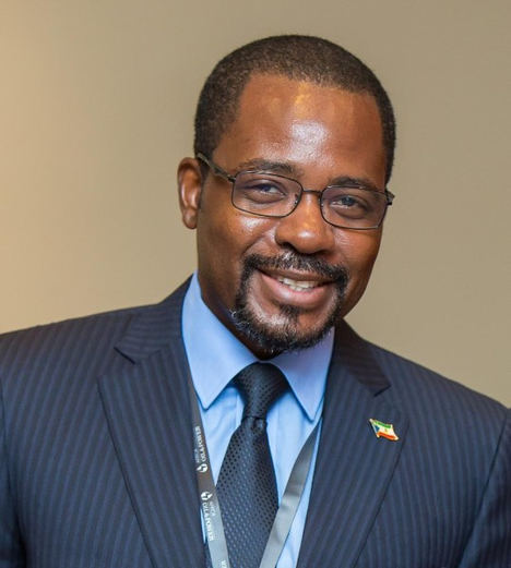 Guinea Ecuatorial mantiene conversaciones con la African Energy Chamber abordando las novedades sobre proyectos energéticos durante Covid 19