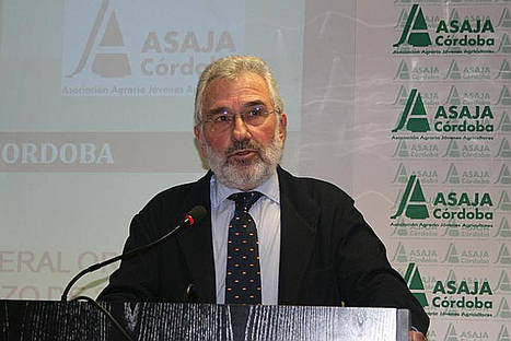 Ignacio Fernández de Mesa, presidente de Asaja Córdoba.