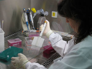 AINIA, nueva línea de trabajo en bacteriófagos