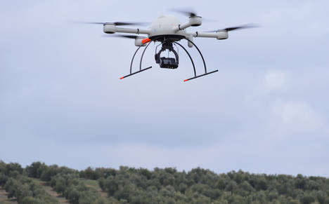 La primera promoción de piloto de dron de Asaja-Jaén aprende a volar los dispositivos entre los olivares