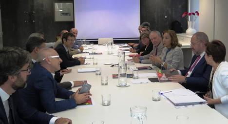 La comisión encargada de impulsar la candidatura española al IFMIF-Dones se reúne en Madrid
