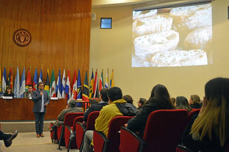 La cultura del pan europea, analizada desde Chile