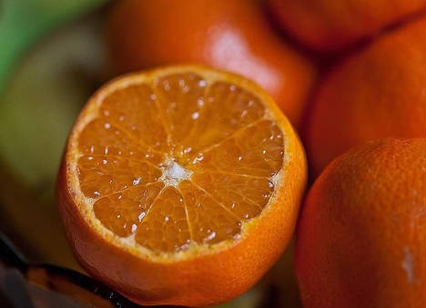 La naranja valenciana es otra gran afectada por la crisis del hueso