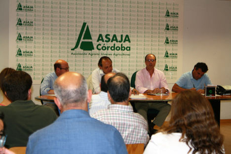 La sectorial de porcino ibérico de Asaja Córdoba propone mejoras a introducir en la norma de calidad