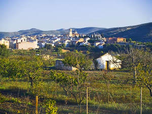El municipio castellonense de Les Coves de Vinromá gana el VI Premio Eolo a la integración rural de la eólica