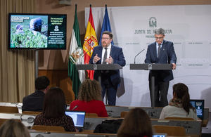 La Ley de Agricultura reforzará la posición de los profesionales y fomentará la protección del suelo agrario en Andalucía