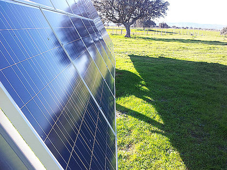 El fondo de infraestructuras europeo Marguerite invierte con OPDEnergy en dos plantas solares fotovoltaicas de 100 MWp en España