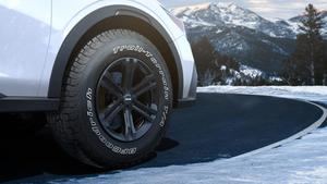 Michelin BFGoodrich Trail-Terrain T/A
 