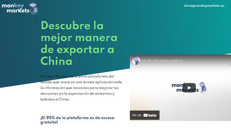 La startup Monkey Markets, primera empresa española en ser reconocida por la ONU debido al uso innovador de sus datos