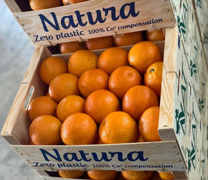 NAT FRUIT EUROPE: Vía verde para la exportación de frutas y verduras españolas