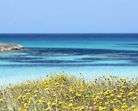 Formentera apuesta por el turismo sostenible en Fitur