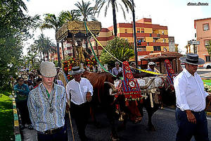 La romería, gran apuesta de turismo de Los Barrios (Cádiz) en 2017