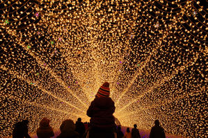 Luces de invierno: el espectáculo que transforma Japón en un cuento de hadas
