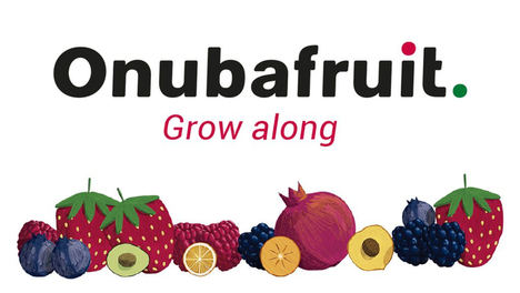 Onubafruit apoya la celebración del IV Foro Nacional Business AGRO Mujeres Agroprofesionales